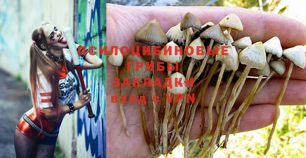 шишки Абинск