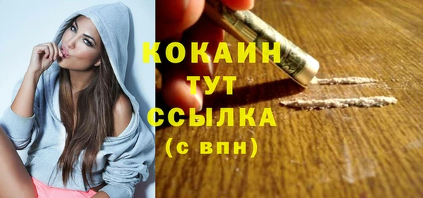 шишки Абинск